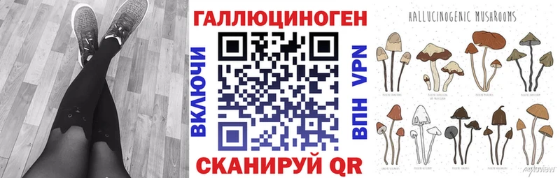 Галлюциногенные грибы Psilocybine cubensis  Вышний Волочёк 